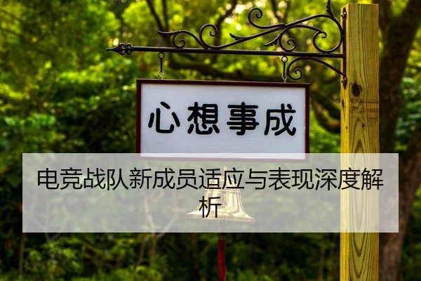 电竞战队新成员适应与表现深度解析